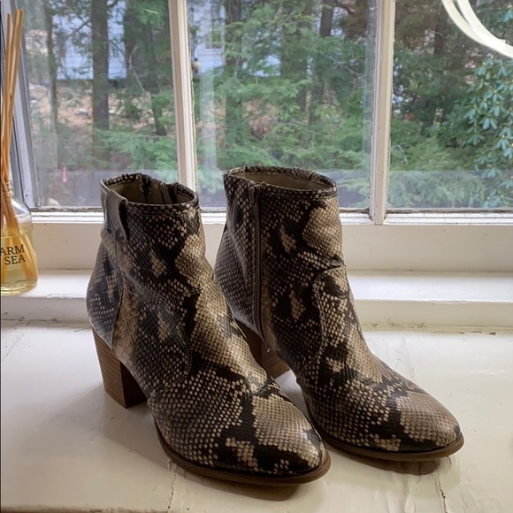 Faux Snake Skin Booties - Picture 1 of 3